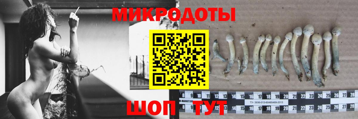 Галлюциногенные грибы ЛСД Люберцы